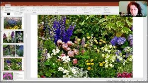 Экспресс многолетники