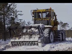 Трёхосник Кировец мульчер короткое видео для презентации