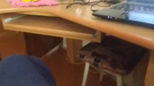 Редкие вкладыши из 3-й серии турбо блэк