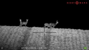 sightmark wraith hd 4 32 x50