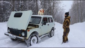 Нивас закипел в этих дебрях! Пробиваем дорогу на избу