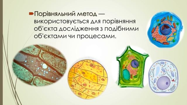 Методи біологічних досліджень організмів смотреть онлайн