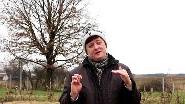 Коли сіяти моркву? Як отримати гарний врожай, враховуючи вплив Місяця та Сонця