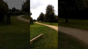 Kinder freestyle honda qr 50