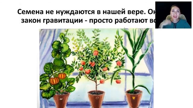 Закон гравитации смотреть онлайн