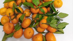 Объем ввезенных из Китая в Свердловскую область мандаринов увеличился в 8 раз