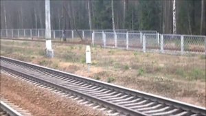 Аппарат-отпугиватель животных с Ж.Д. "UOZ-1" / Animal protection device "UOZ-1"