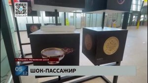 Полетел, но не так: нетрезвый пассажир разбился в аэропорту Хабаровска, выпрыгнув с высоты