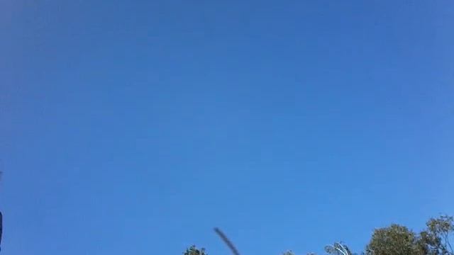 VLOG Мы ловим жаб смотреть онлайн