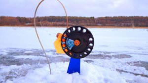 Сразу же начались сработки на жерлицы. Рыбалка декабрь 2024.