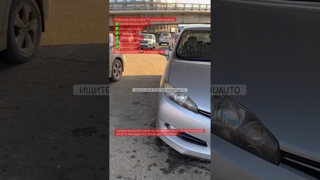 TOYOTA WIS G на белоснежном салоне🔥👍🏻❤️ ищите нас в телеграм - BUSHINUAUTO