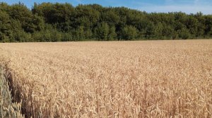 определение конверта