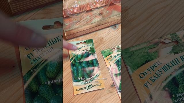 ОГУРЦЫ НА ПОДОКОННИКЕ
