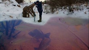 ЗАБУРИЛИСЬ В РЫБИЙ РАЙ !!! Плес забит рыбой ! р. Каменка 4 декабря 2024г.