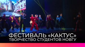 Новгородские студенты проявили свои таланты на творческом фестивале «Кактус»