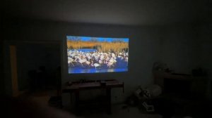 Philips Screeneo U4 - Ultra Short Throw Projector