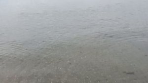 Вечерняя Анапа после дождичка в четверг! Штиль. 5 декабря 2024. 17.00