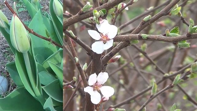 Дарю вам немного тепла и позитива смотреть онлайн