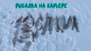 Нашли другую точку с окунями. Рыбалка на карьере #рыбалка #окунь #щука #deeper