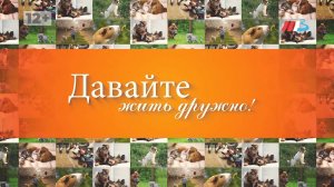 Как работает корги в волгоградском ЦПКиО и почему хвостатый полицейский не собирается на пенсию