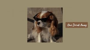 Песни, чтобы потанцевать / зарядиться позитивом / поднять настроение / отдохнуть