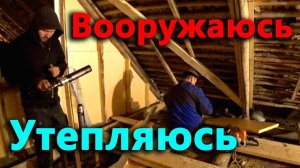 Исколесил Псковскую область чтобы добыть огнестрел. Снова вылупились перепелята. Утепляем дом.