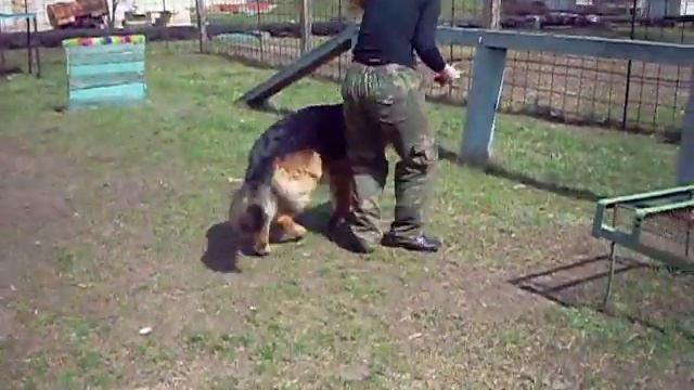 Байк учит команду ползи.MOV