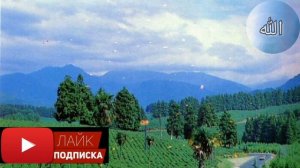 Приятный нашид | كن فيكون (Acapella Cover) | Othman al Ibrahim #naseed #нашиды #нашид