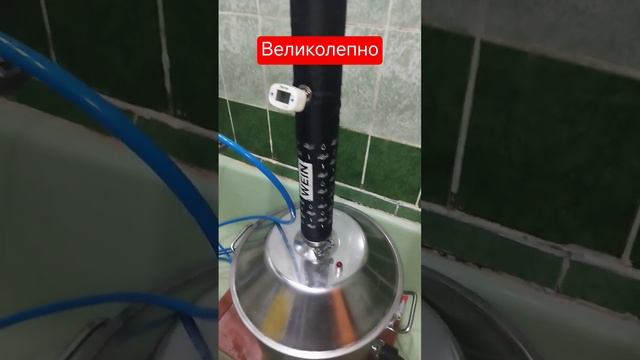 Великолепное начало дня