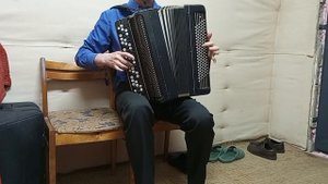 Баян тульский
