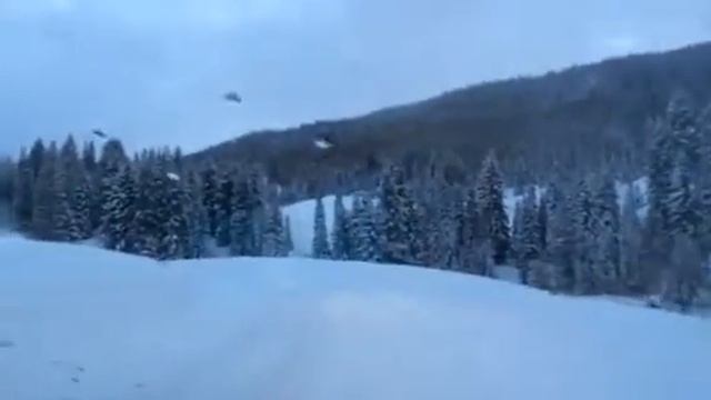 Steamboat1 смотреть онлайн