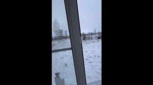 document_5346299913384777034