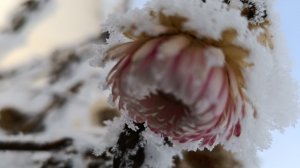 Жизнь в сибирской деревне многодетной семьи Саяногорск Хакасия