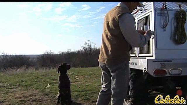 Fortiflora смотреть онлайн