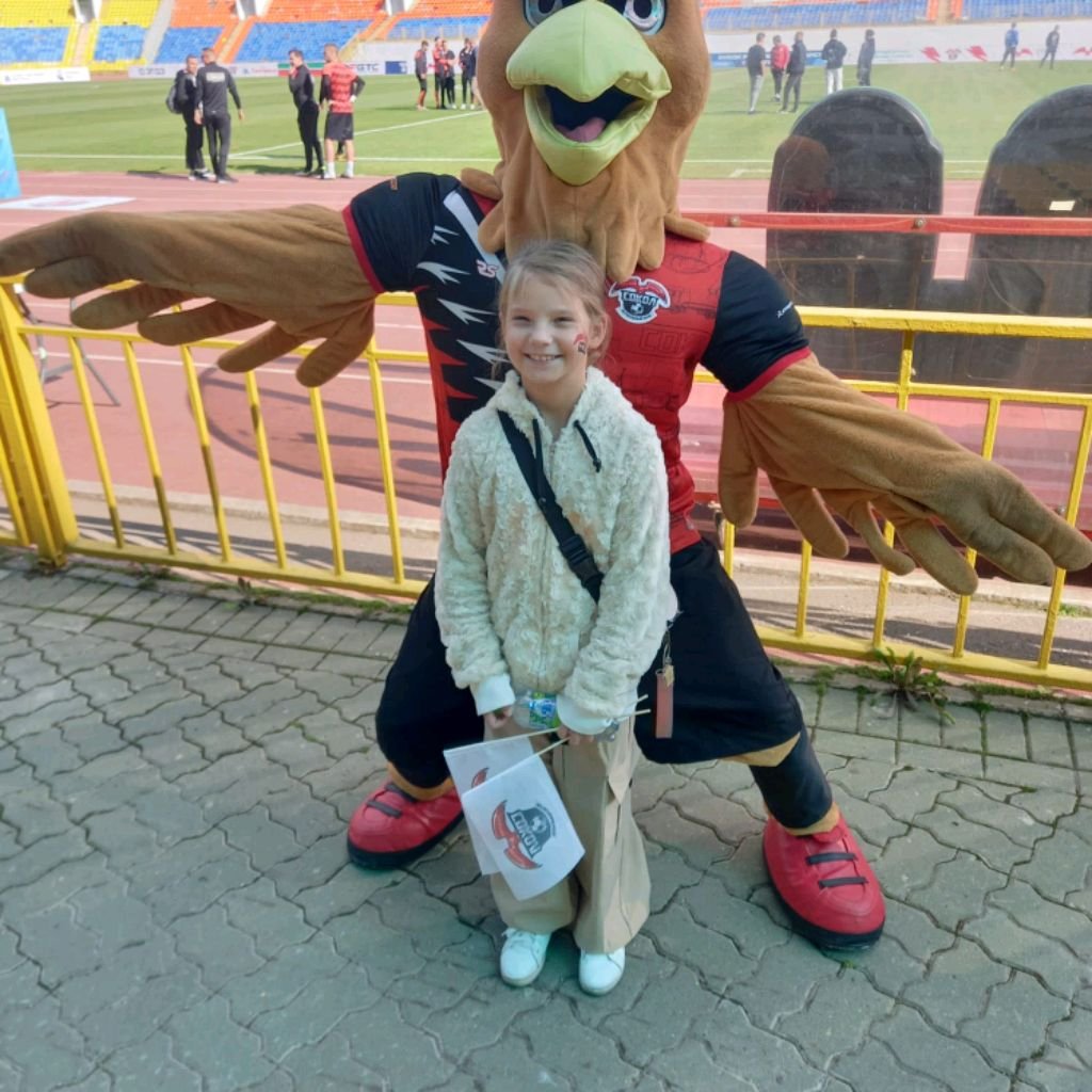 сокол