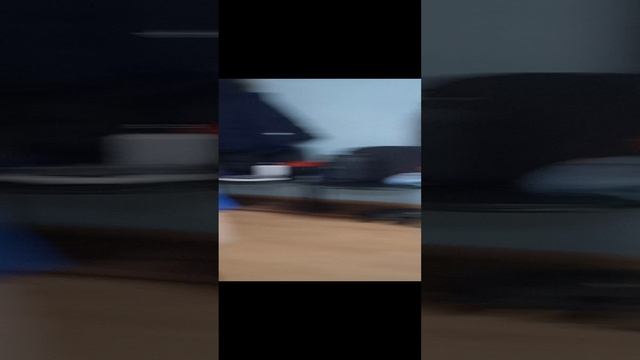 САМЫЙ ТУПОЙ ЧЕЛ В МИРЕ
