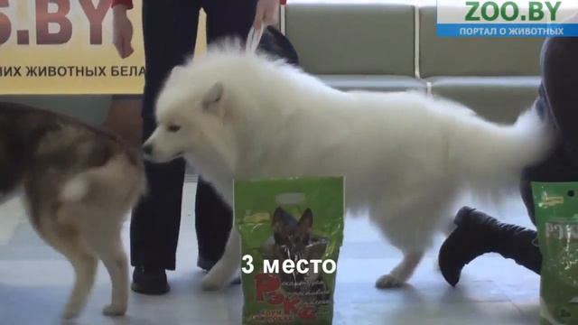 FCI-5 смотреть онлайн