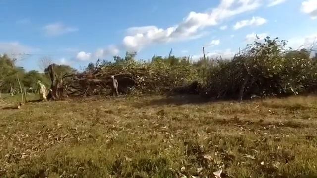 Yota, hard at work (2nd gen Toyota 4Runner смотреть онлайн