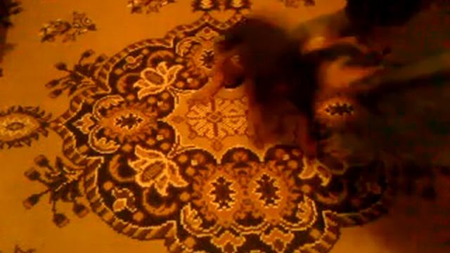 MOV00483.MP4 смотреть онлайн