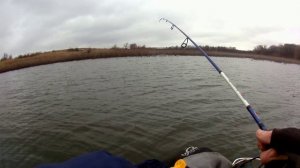 С другом и клев щуки лучше