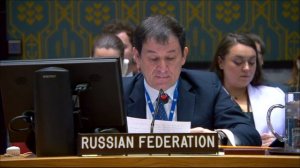 Statement by Dmitry Polyanskiy at a UNSC briefing on the Syrian chemical file