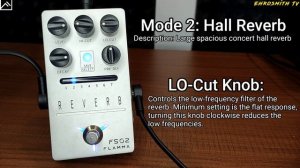 FLAMMA FS02 REVERB In-Depth Demo | Flamma Innovation FS02 Reverb Pedal | Flamma FS02 Pedal