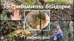 За грибами на байдарке