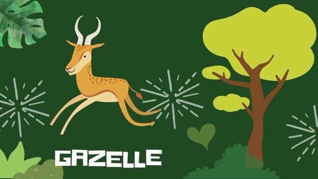 Animals In Forest For Children