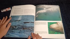 ASMR reading / АСМР чтение / chewing gum/ шёпот / жвачка / whisper