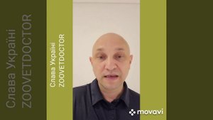 Как вызвать рвоту при отравлении у собак и кошек #zoovetdoctor