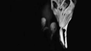 Желтая Ветка -  Это