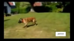 Weitech Gardenprotector WK0051