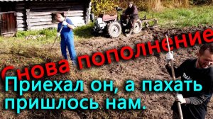 Чем закончился эксперимент тестя_ В инкубаторе началось, а нам надо пахать под картошку.