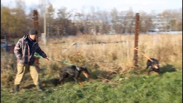 охрана вещи,ЗКС смотреть онлайн